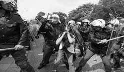Polis