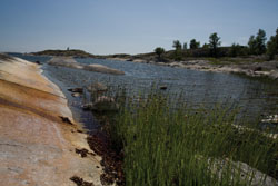 Bredskr