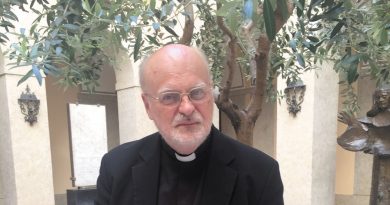 Anders Arborelius. (Foto: Katolska kyrkan)