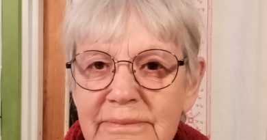 Artikelförfattaren Lena Jarlöv
