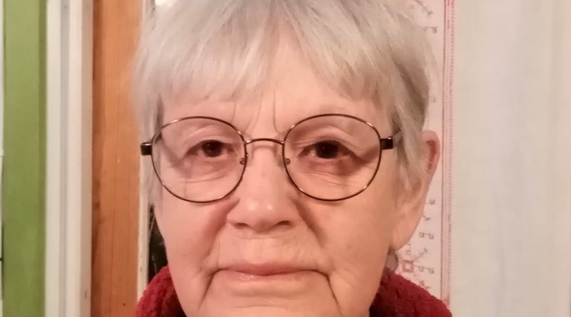 Artikelförfattaren Lena Jarlöv